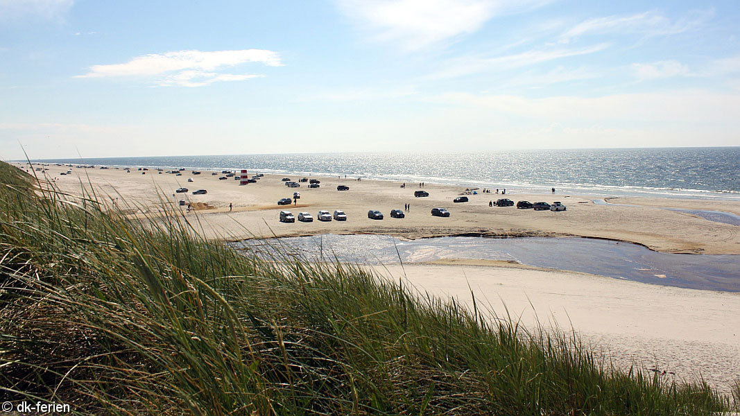 Strand in der Nähe von Stribsø Poolhus