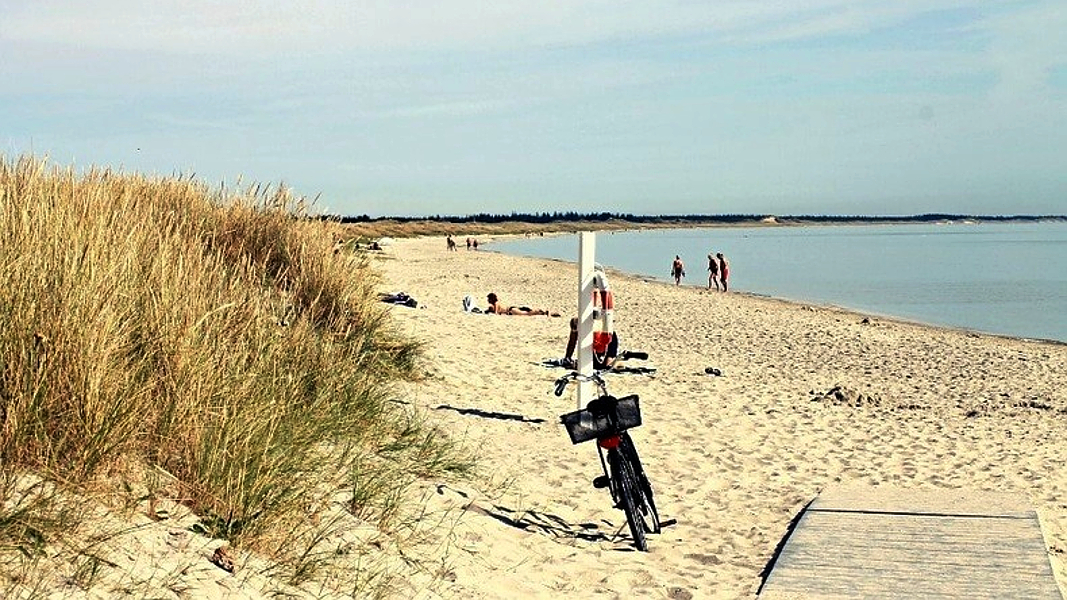Strand in der Nähe von Knasborg Aktivhus