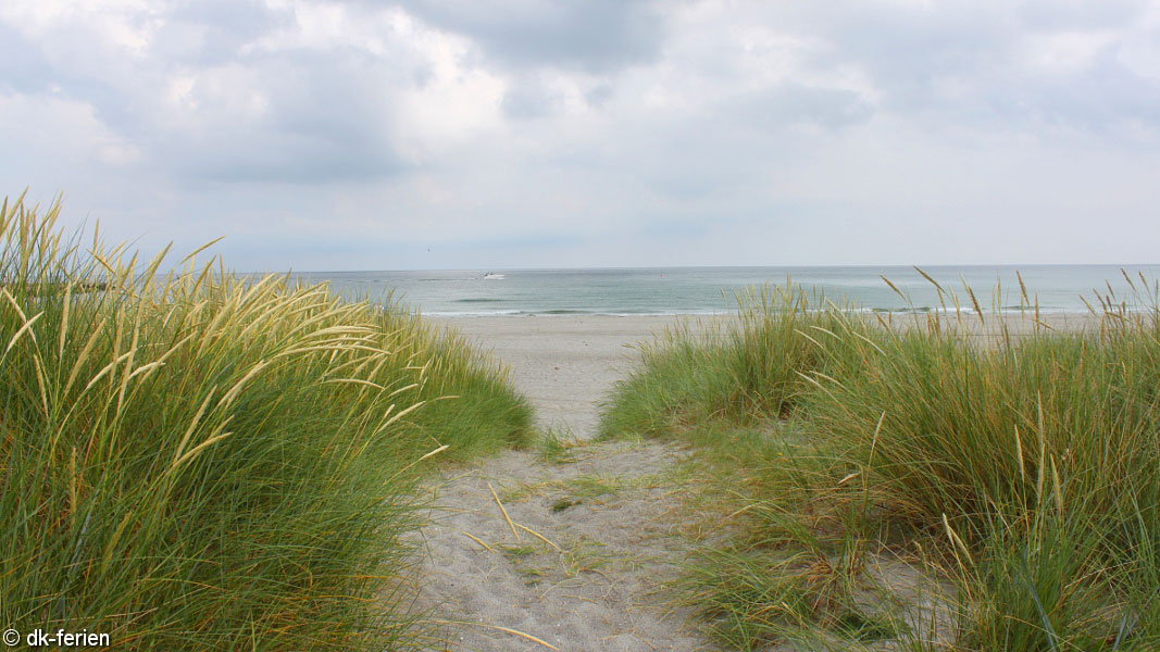 Strand in der Nähe von Grenå Poolhus