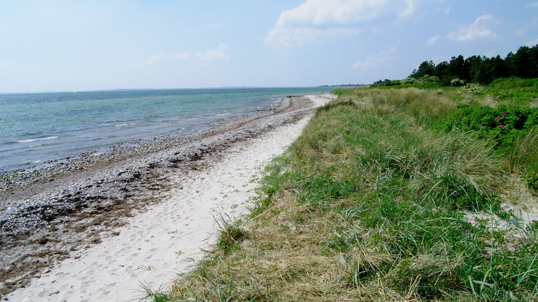 Strand in der Nähe von Sønderby Aktivhus