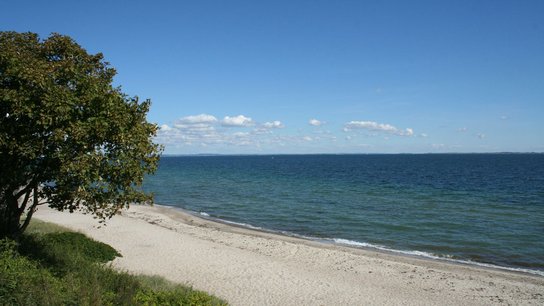Strand in der Nähe von Harresbæk Udsigthus