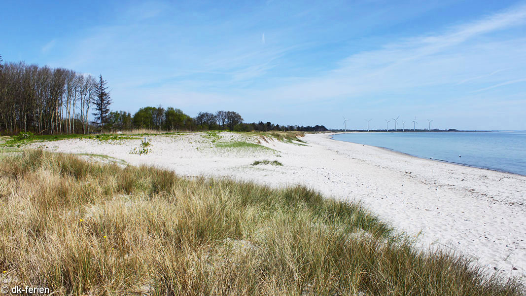 Strand in der Nähe von Hannes Afslaphus