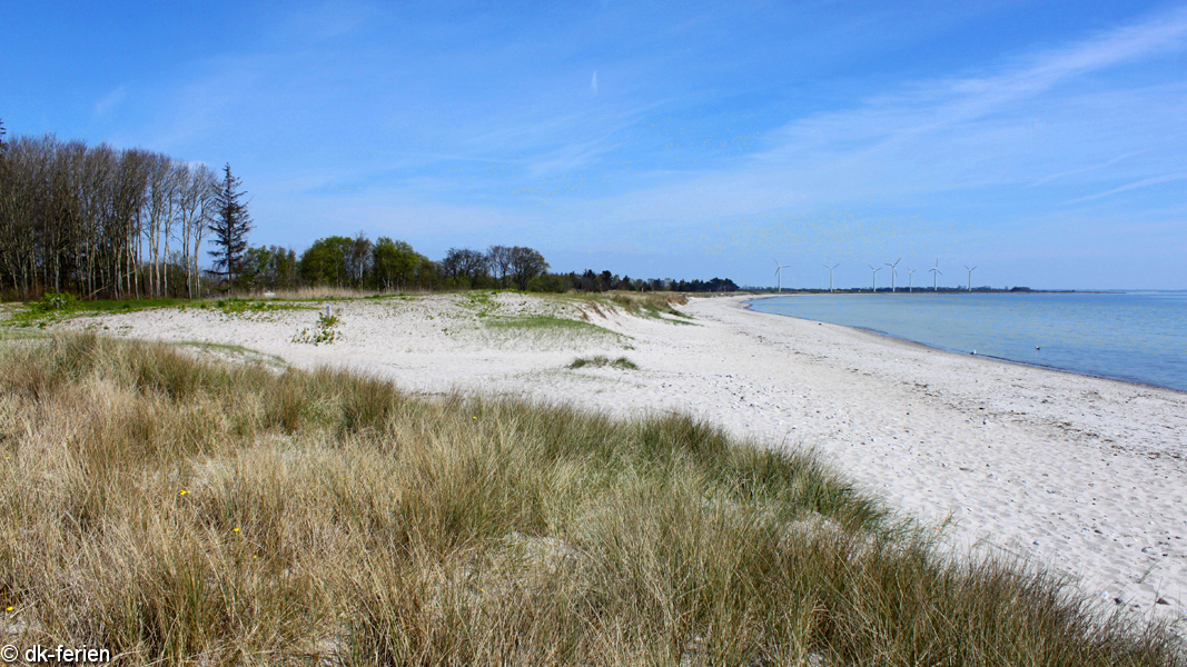 Strand in der Nähe von Æ Sommehus