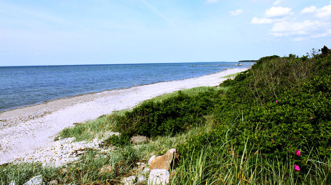 Strand in der Nähe von Dageløkkehus