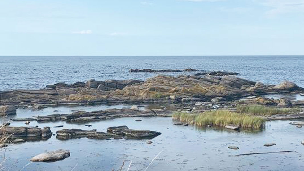 Umgebung von Nexø Bondehus