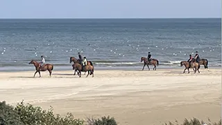 Strand in der Nähe von Havblikhus Kjul