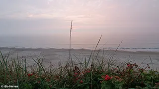 Strand in der Nähe von Hus Furreby Hygge