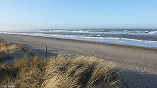 Strand in der Nähe von Thorup Poolhus