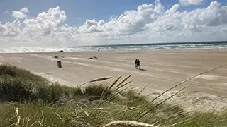 Strand in der Nähe von Kringelbæk Hyggehus