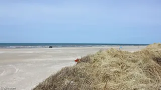 Strand in der Nähe von Hus Idyll