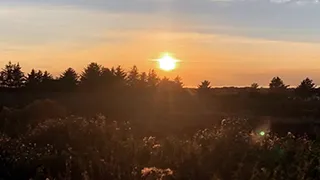 Umgebung von Rubjerg Knude Stuehus