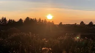 Umgebung von Rubjerg Knude Lejlighed