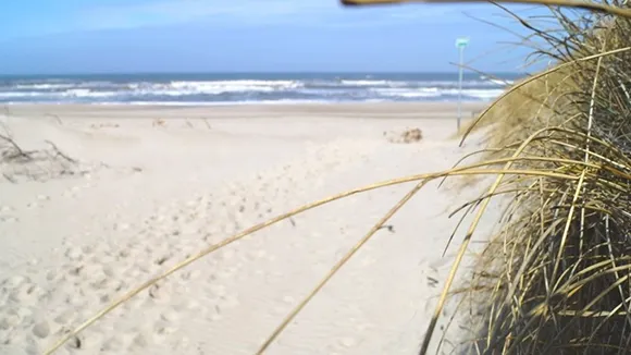 Strand in der Nähe von Husby Aktivhaus