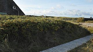 Blick auf die Landschaft von Sommerhus på Bakken