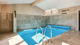Poolbereich von Ferienhaus  mit Sauna/Whirlpool 