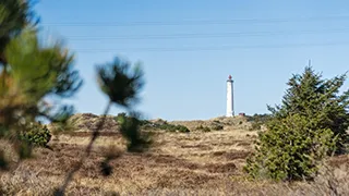 Umgebung von Poolhus i klitterne