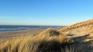 Strand in der Nähe von Ringkøbing Aktivhus