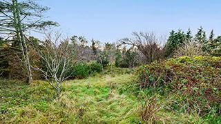 Grundstück von Poolhus Søndervig