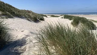 Strand in der Nähe von Wellness Poolhus