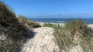 Strand in der Nähe von Wellness Poolhus