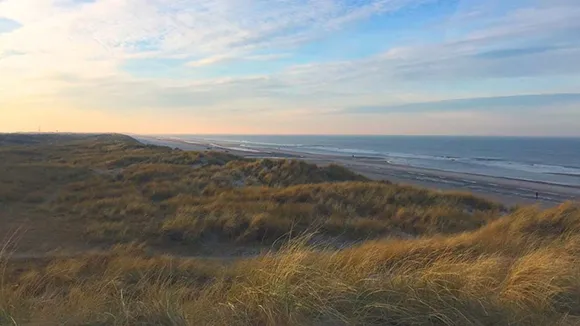 Strand in der Nähe von Wellness i Vejers