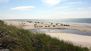 Strand in der Nähe von Stribsø Poolhus