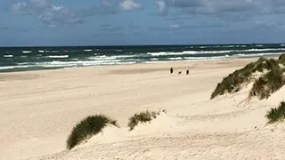 Strand in der Nähe von Tytte Poolhus