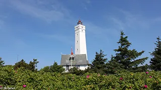 Umgebung von Vandflod Poolhus