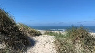 Strand in der Nähe von Anemone Aktivhus