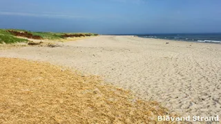 Strand in der Nähe von Vænge Poolhus