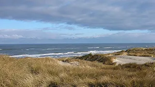 Strand in der Nähe von Guldskov Poolhus