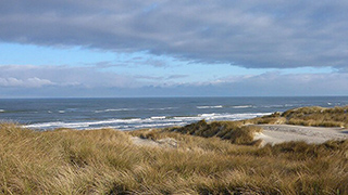Strand in der Nähe von Landsø Poolhus