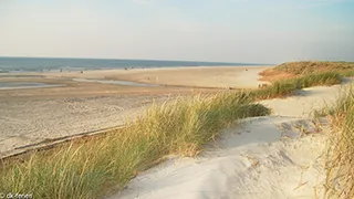 Strand in der Nähe von Grævlinge Spahus