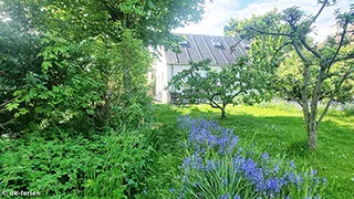 Grundstück von Mandø Hyggehus