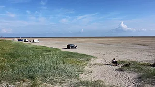 Strand in der Nähe von Tagholm Aktivitätshus