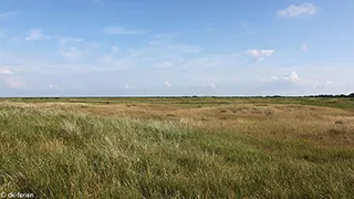 Umgebung von Rømø Poolhus