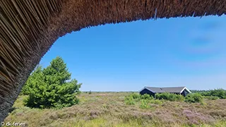 Blick auf die Landschaft von Poolhus Godthåb