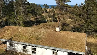 Meerblick von Jerup Afslaphus