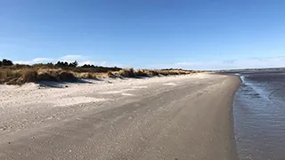 Strand in der Nähe von Jerup Afslaphus