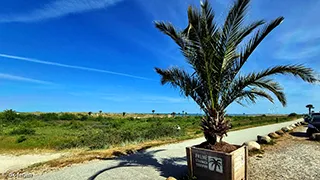 Strand in der Nähe von Aasted Skovhus