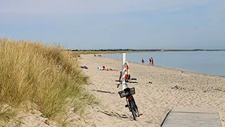Strand in der Nähe von Knasborg Lejlighed