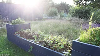 Grundstück von Sommerhus Fyrglimt