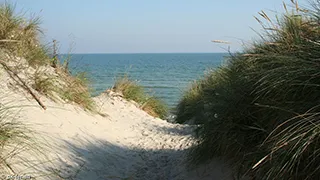 Strand in der Nähe von Sommerhus Dojeco Bratten