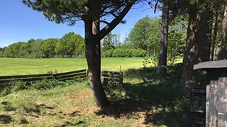 Ausblick von Hus Christianslyst