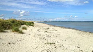 Strand in der Nähe von Aalbæk Aktivhus