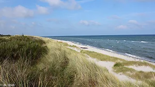 Strand in der Nähe von Elins Spahus
