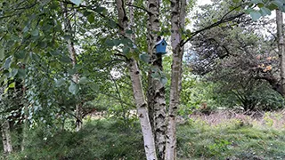 Grundstück von Sæby Hyggehus