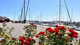 Hafen in der Nähe von Øster Hurup Spahus