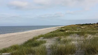 Strand in der Nähe von Jørgens Havblikhus