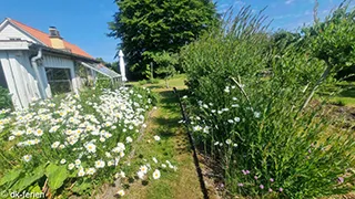 Grundstück von Bisholt Hyggehus